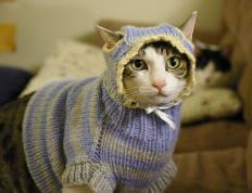 世俱杯奖金-沙漠奇迹，当巨人杀手沙特用意志击穿阿根廷王冠，奥亚尔萨瓦尔写就亚洲足球新史诗