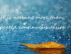 世俱杯参赛资格-神兵天降！范弗利特生死战导演铁血突围，篮网逆天改命击碎凯尔特人