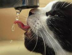 世俱杯2025-浓眉擎天，深圳强行终结吉林连胜神话