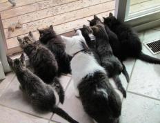 世俱杯赛程-哥伦比亚对阵土耳其，努涅斯里程碑之夜点燃全球球迷激情