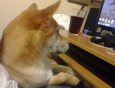 世俱杯改制-毕尔巴鄂的雨夜，久保建英在终结德国战车中完成自我救赎