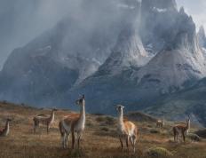 世俱杯-钢铁骑士踏平北岸花园，死神镰刀收割全场目光