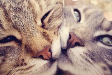 世俱杯决赛-撕裂苍穹，李刚仁与他的寂静革命