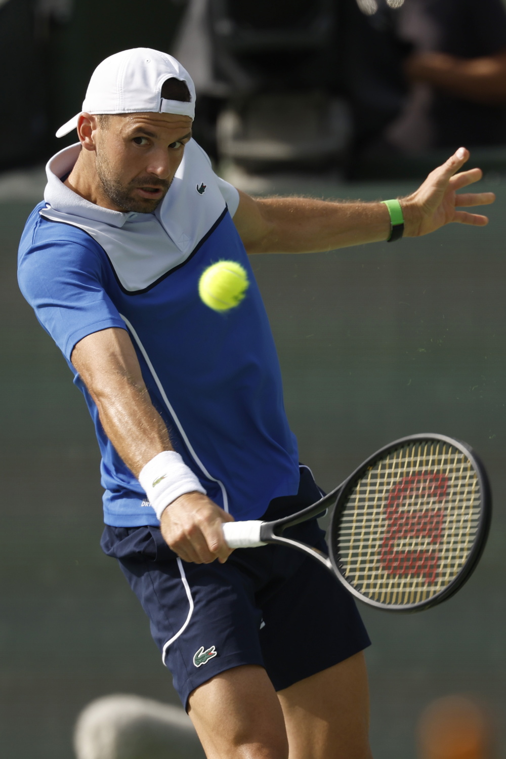 世俱杯2025-年终总决赛翻盘法网,梅德韦杰夫高光表现