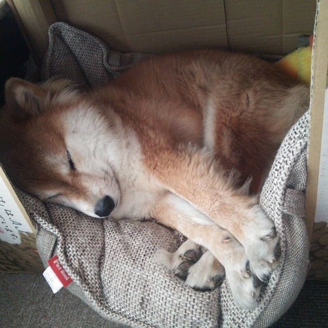 世俱杯2025-速度与激情交织的体育盛宴,F1新赛季揭幕战引爆全球,快船加时鏖战力克雄鹿