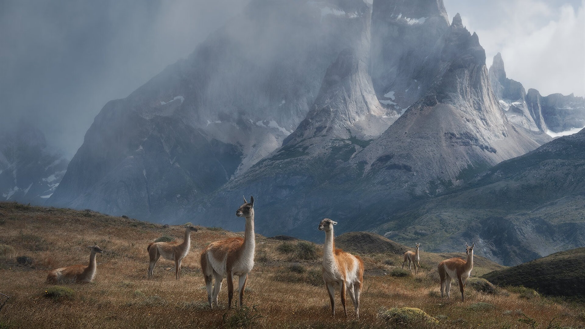 世俱杯-钢铁骑士踏平北岸花园，死神镰刀收割全场目光