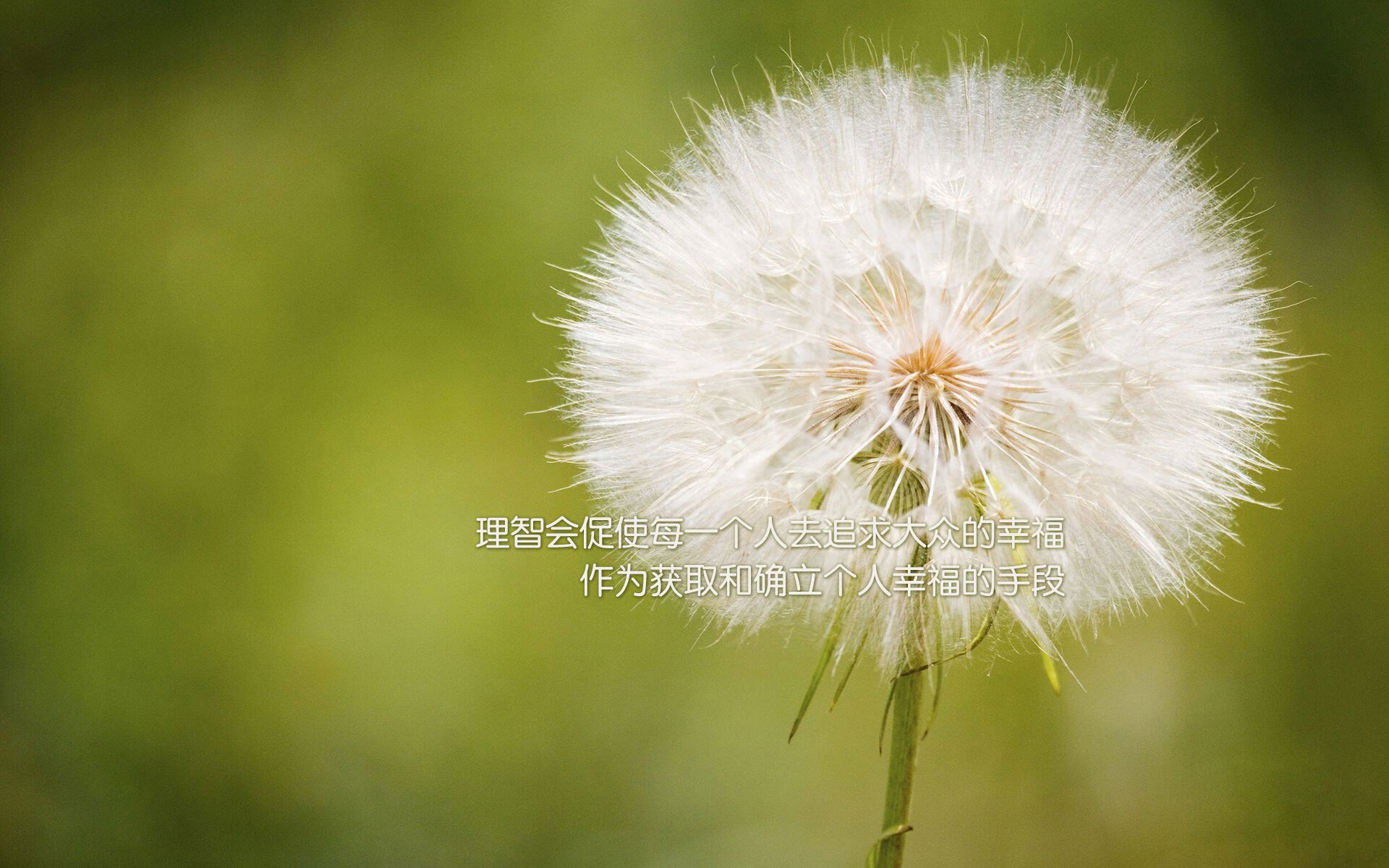 世俱杯决赛-欧冠淘汰赛焦点战,芬兰劲旅压哨绝杀贝蒂斯,谱写黑马传奇