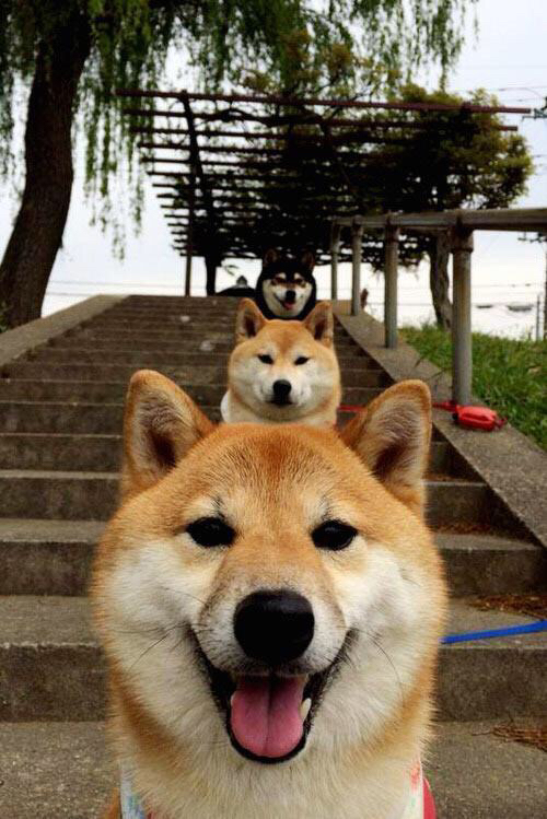 世俱杯直播-今夜，星光属于谁？