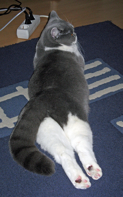 世俱杯参赛资格-英格拉姆季后赛接管比赛,快船险胜猛龙晋级下一轮