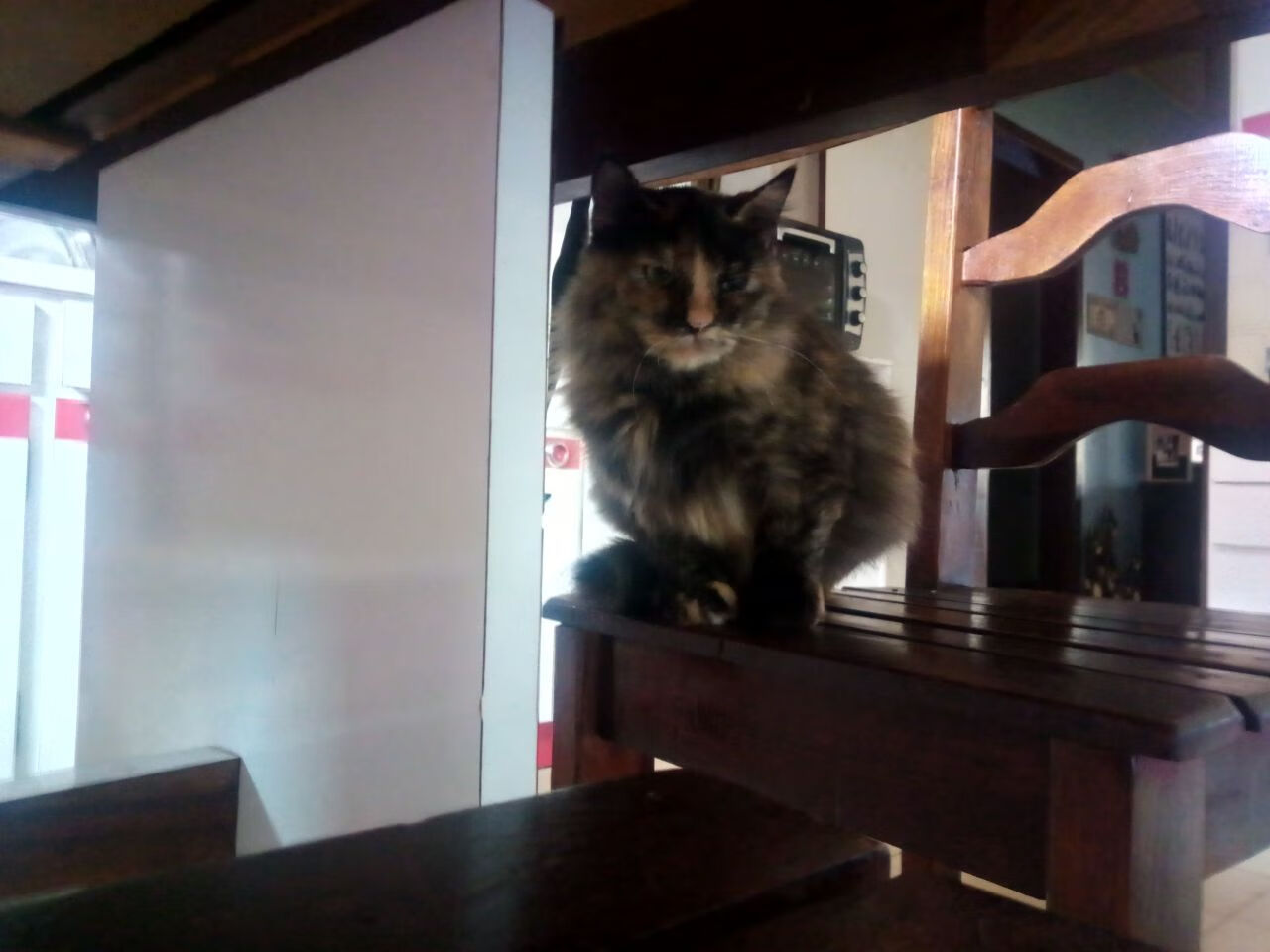 世俱杯直播-鹈鹕展翅破王权，詹姆斯主宰天王山